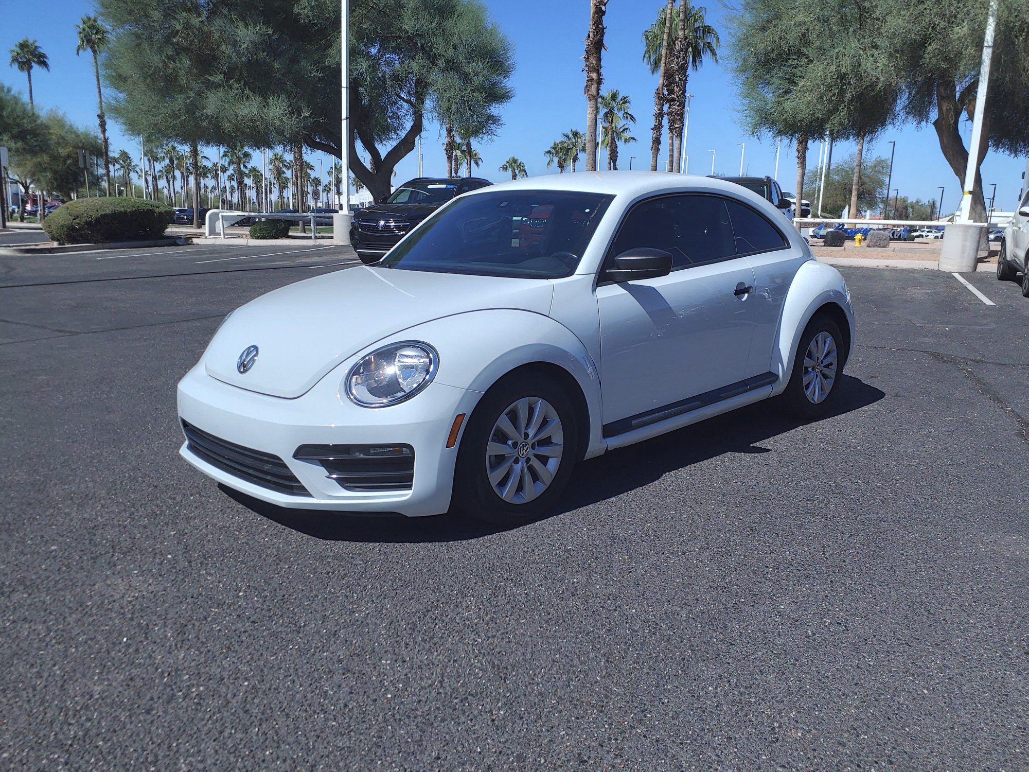 Volkswagen Beetle